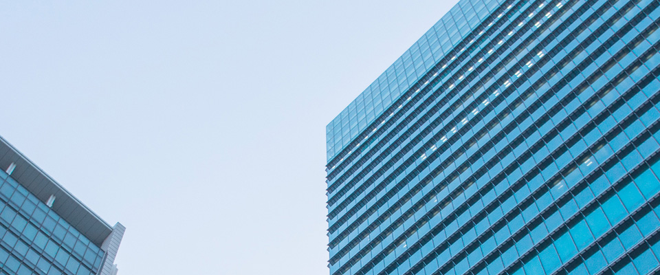 关于午夜在线播放