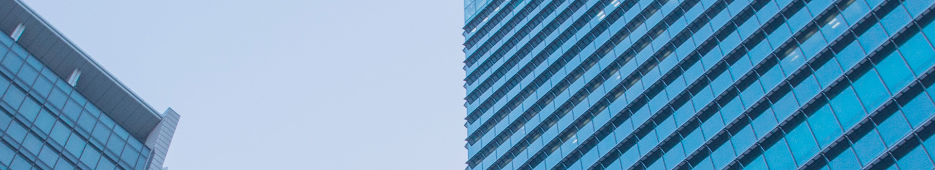 关于午夜在线播放